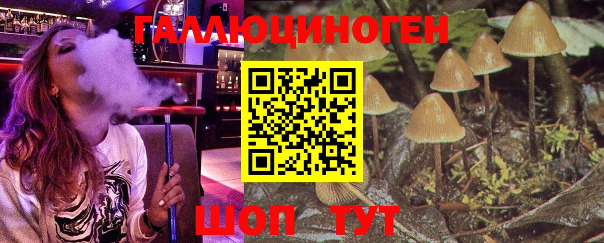 Псилоцибиновые грибы мицелий Майский
